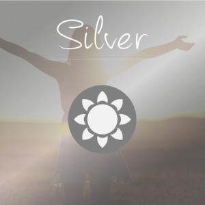 Silver Package